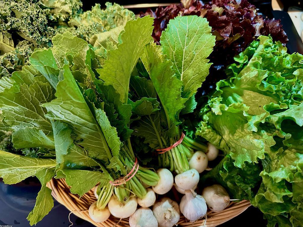 แแแ แถแแแธ 7 แแแแปแแแถแแแแแพแแแแแทแแแแแทแแถแแแ
แแพแขแแธแแแพแแแ