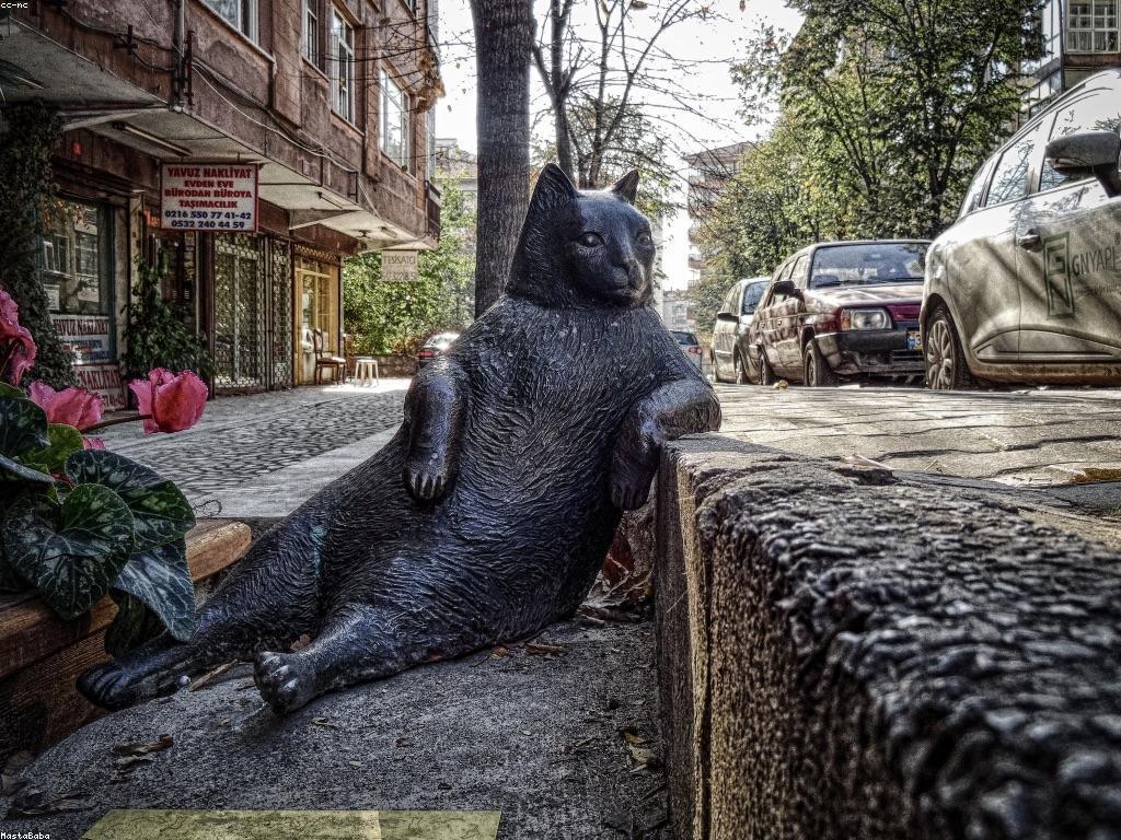 แแถแแแแแแถแแแแแแถแแแถแแแแแแถแแ