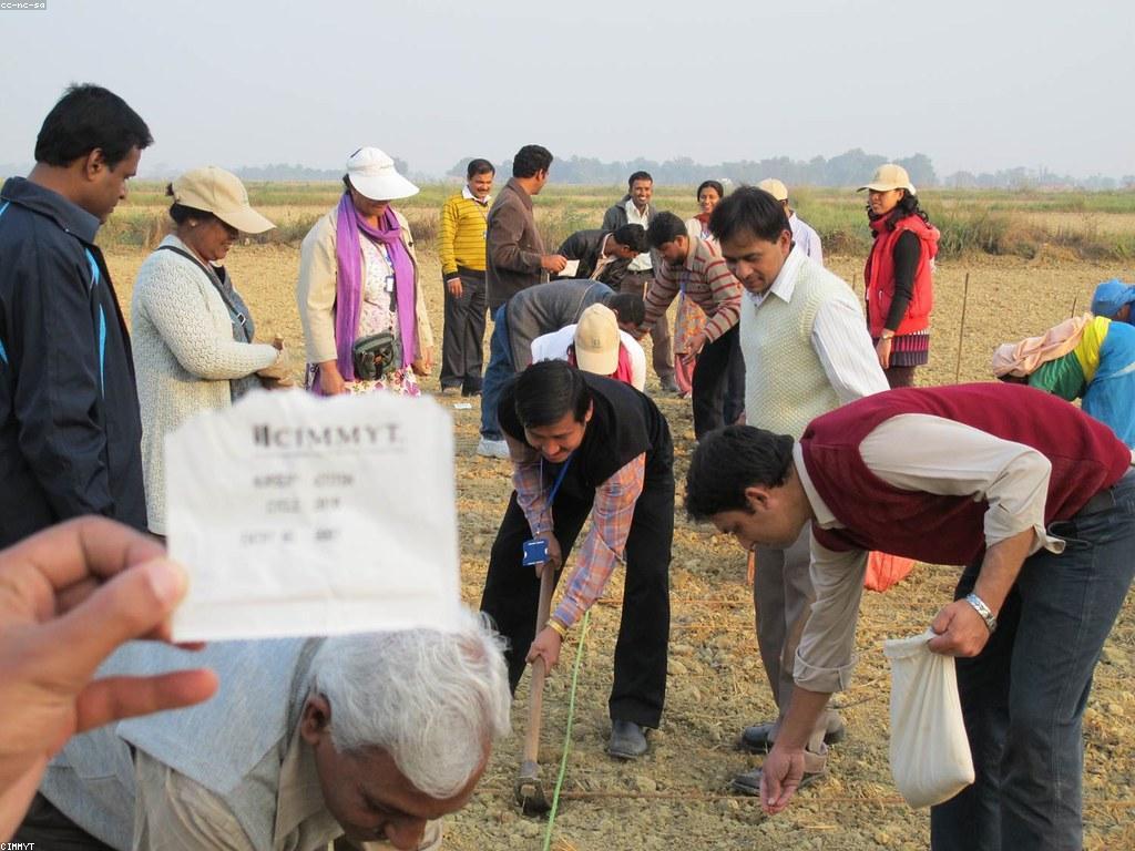 แแแ แถแแแธ 9 แแแแปแแแถแแแแแพแแแแแทแแแแแทแแถแ