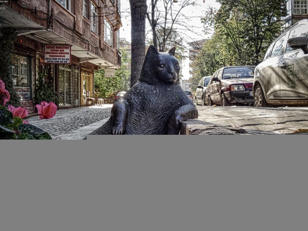 យុទ្ធសាស្ត្រដើម្បីធ្វើប្រតិបត្តិការ​ដ៏ប្រសើរ