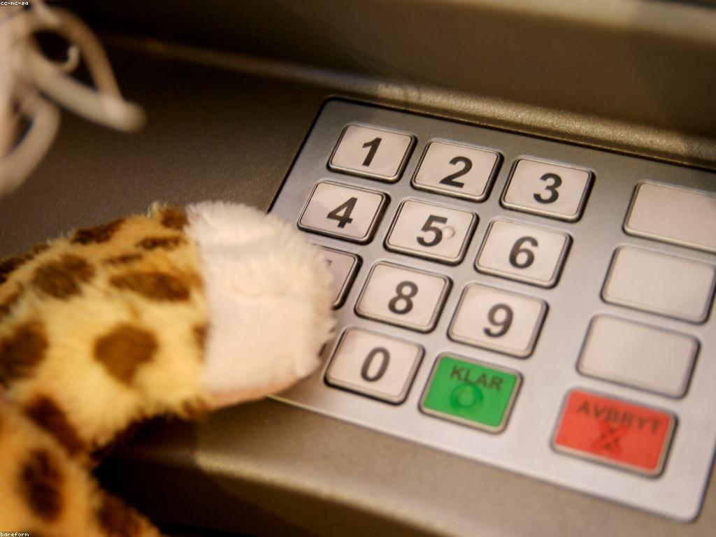 แแถแแแแแแแถแแ: แแแผแแแแแถแแแแแแแถแแแขแแธแแแบแแทแแแแแแถแแแแแแถแแ