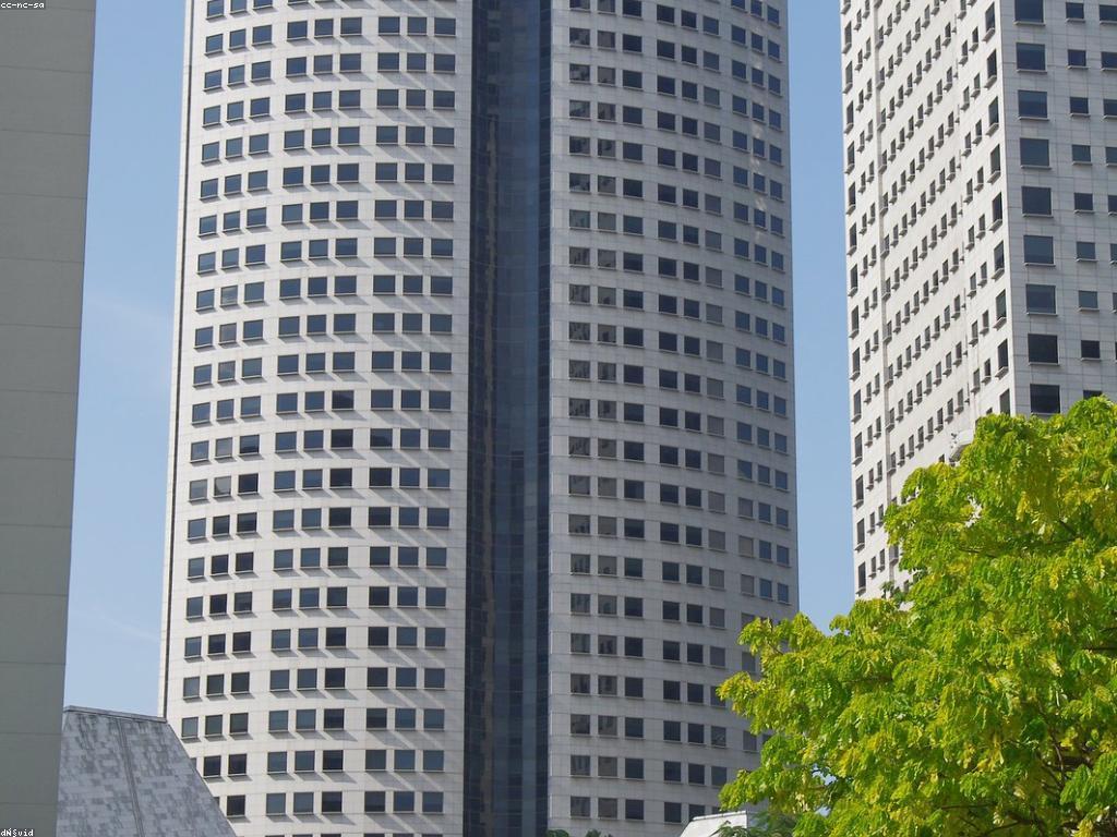 แแถแแแถแแแแแแถแแ: แแถแแแแแพแแแแถแแ แแทแ แแทแแธแแถแแแแแ