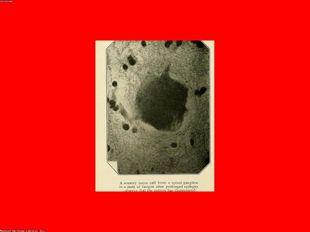 แแแแ แถแแถแแถแแแแปแแแแแแ แแทแแแแแแแแแแถแ